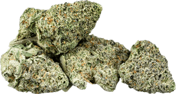 Animal Gas